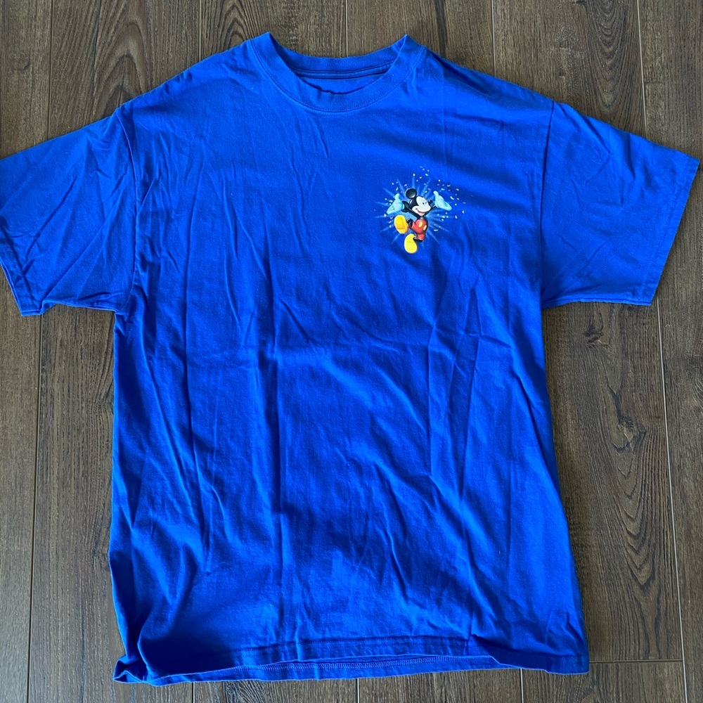 Disney/ Walt Disney world tee shirt